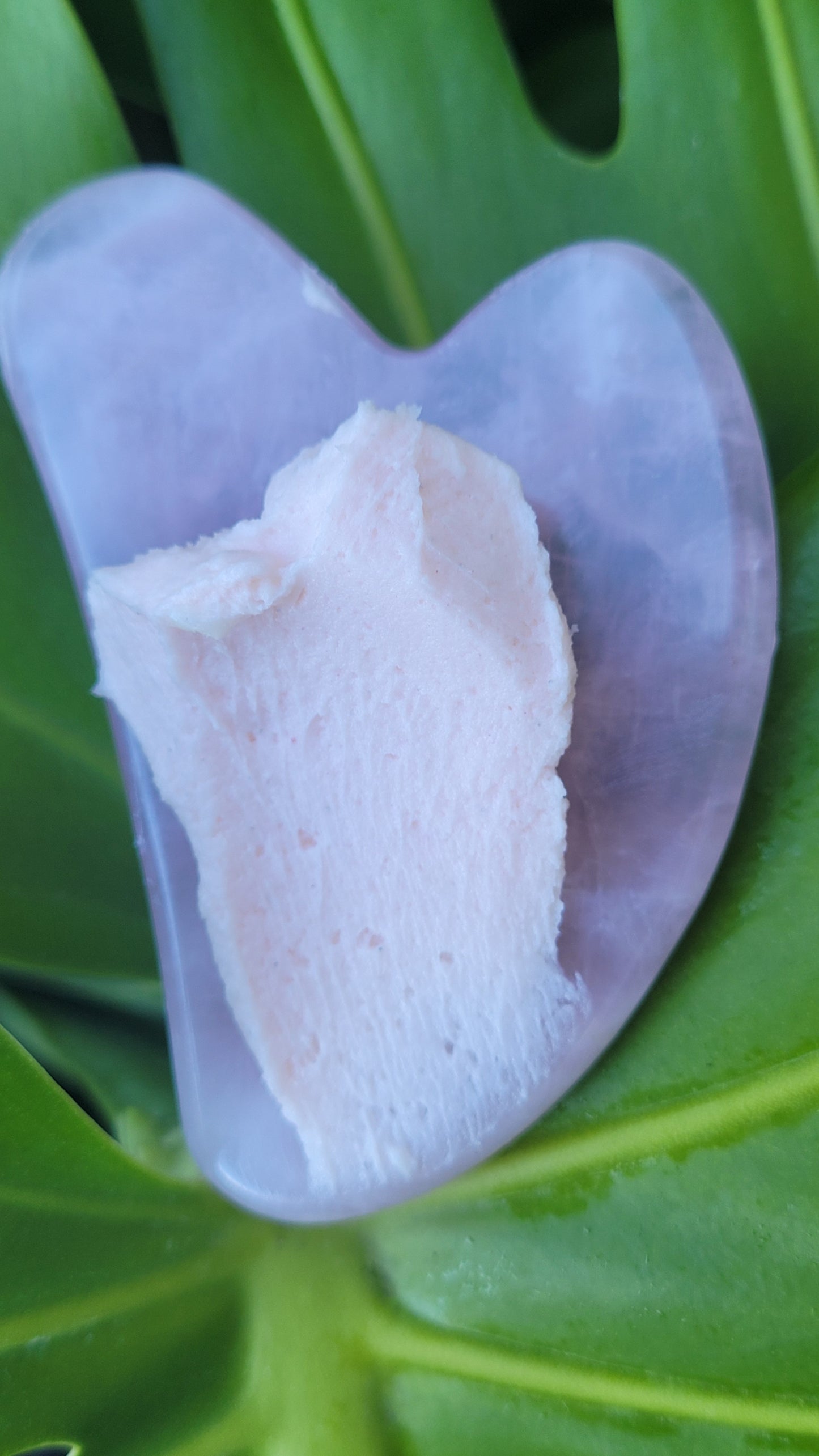 Baby Bump Body Butter