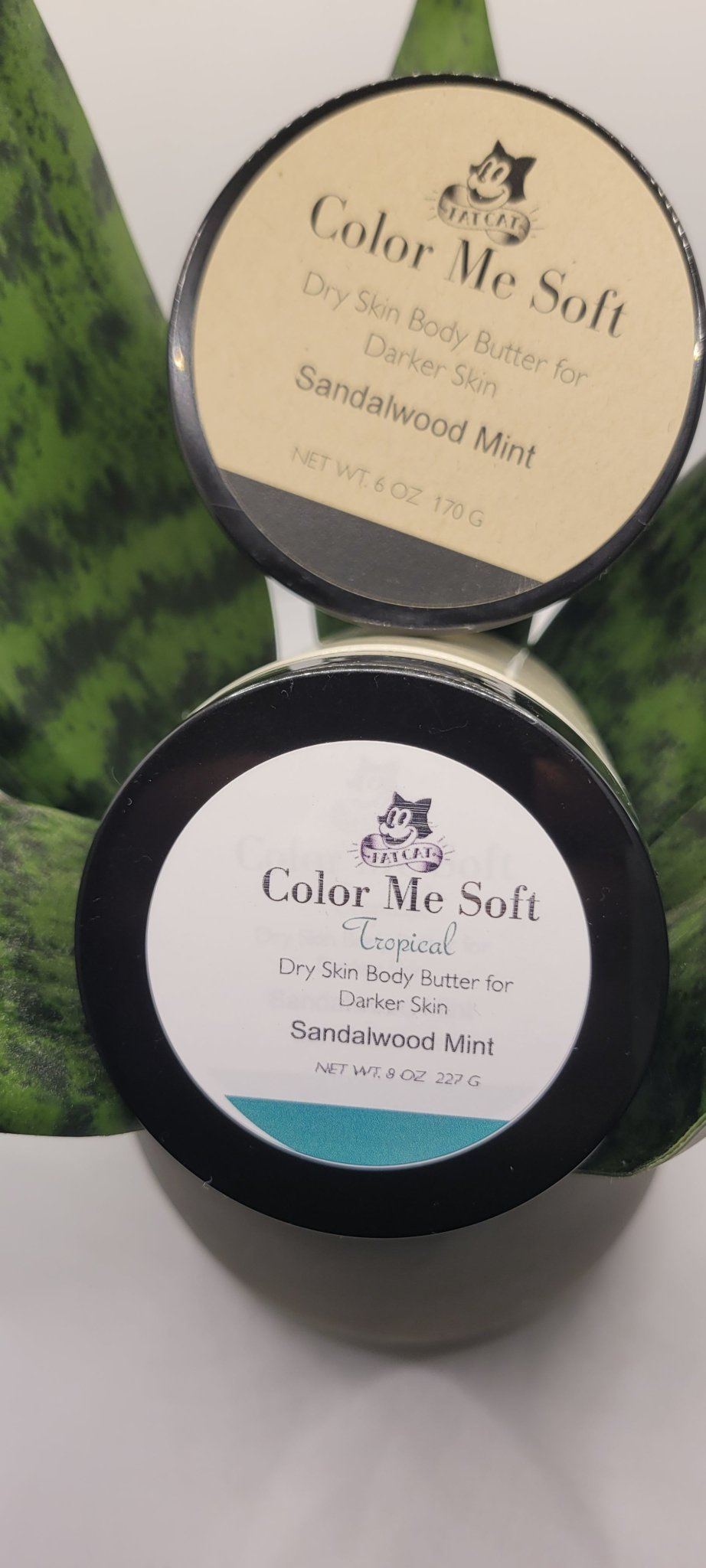 #aftersunbodybutter #fatcatskincare